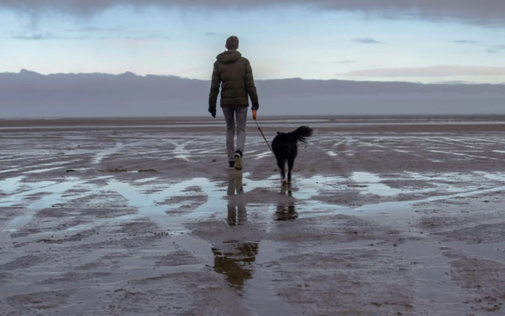 man and dog on beach